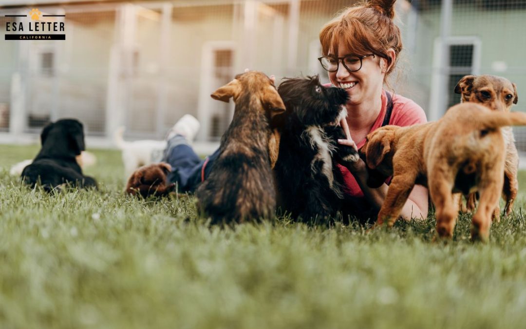 Top Benefits of Having an Emotional Support Animal in California