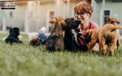 Top Benefits of Having an Emotional Support Animal in California