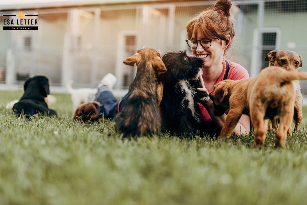 benefit of emotional support animal benefit of emotional support animal