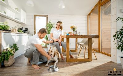California Emotional Support Animals: Rights and Responsibilities