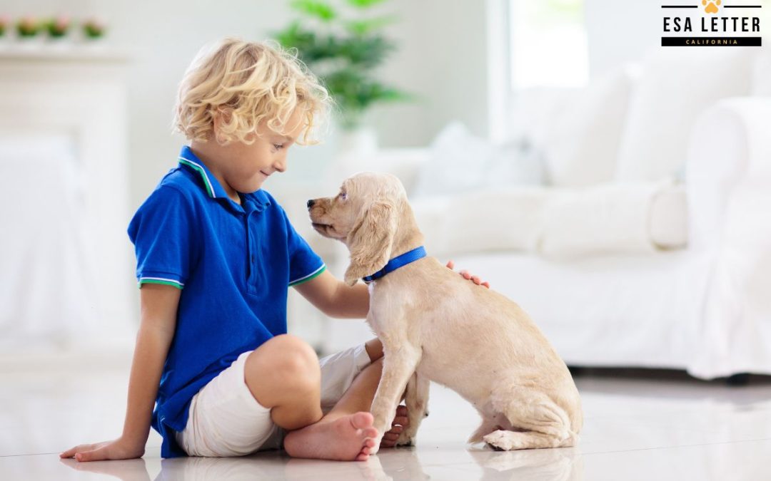 Ultimate Guide to Getting an Emotional Support Animal in California